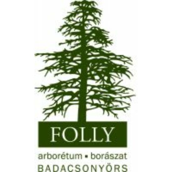 Folly Arborétum Boróka 2021