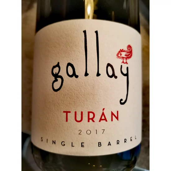 Gallay Turán 2017