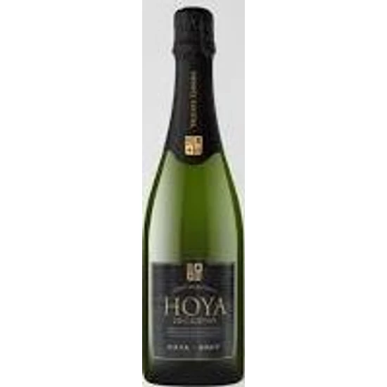 Gandia Hoya De Cadenas Brut Cava 